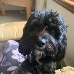 Carol Bodnar - @carol.bodnar.5 - Instagram
