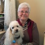 Carol Bohan - @carol.bohan - Instagram