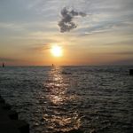 Carol Bohn - @clb0713 - Instagram