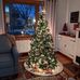 Carol Bolan - Facebook