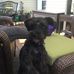 Carol Ann Boldt - Facebook