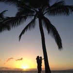 Carol Boldt - @carol_boldts - Instagram