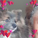 Carol Booth - @carol.booth.96 - Instagram