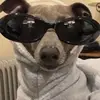 Carol booth - @carol.booth - TikTok