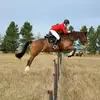 carolbooth238 - @carolbooth238 - TikTok