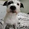 Carol Booth - @carol.booth6 - TikTok