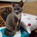 Carol Booth - Facebook