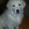 carolbooth566 - @carol.booth28 - TikTok