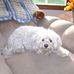 Carol Borgmann - Facebook