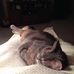 Carol Borst - Facebook