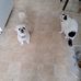 Carol Boudreau - Facebook