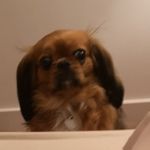Carol Bourne - @bournecarol1951 - Instagram