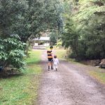 Carol Bower - @_carolbower - Instagram