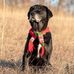Carol Bowlin - Facebook