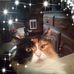 Carol Boyer - Facebook