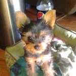 Carol Boyes - @boyes.carol - Instagram