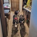 Carol Brigham - @carola.brigham - Instagram