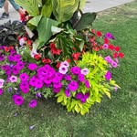 Carol Broxton Sellars - @broxtonsellars - Instagram