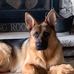 Carol Buchanan - Facebook