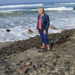 Carol Buchanan - @carol.buchanan.125 - Instagram