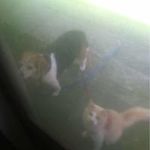 Carol J Buckman - @buckman.carol - Instagram