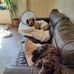 Carol Budd - Facebook
