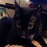 Carol Budd - @budd9659 - Instagram