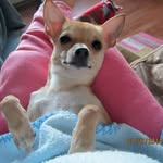 Carol-Buddy Sours - @carolbuddysours - Instagram