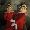 carol and buddy funny - @carol_elf1 - TikTok