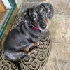 carolbuddy - @carolbuddy - TikTok