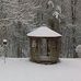 Carol Buell - Facebook
