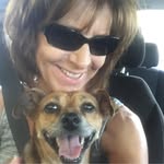 Carol Barndt Buffa - @barndt.carol - Instagram