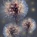 Carole Buffington - Facebook