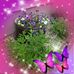 Carol Bumstead - Facebook