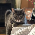 Carol Burak - @burakcarol - Instagram