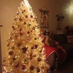 Carol Burch - Facebook