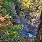 Carol Burch - Facebook