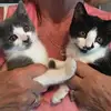 carolburch4 - @carolburch4 - TikTok