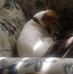 Carol Burd - Facebook