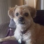 Carol E. Burnside - @carol.burnside1946 - Instagram