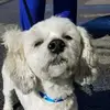 Carol E. Burnside - @carol.e..burnside - TikTok