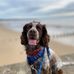 Carol Burrell - Facebook