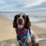 Carol Burrell - @caz.255 - Instagram