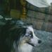 Carol Burrell - Facebook