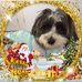 Carol Burrows - Facebook