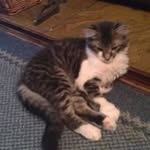 Carol Burt - @burt7615 - Instagram