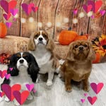 Carol Burt - @cburt126 - Instagram