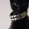 Carol Busch - @carol.busch - TikTok