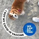 Carol Dombrosky - @carol.bussey.56 - Instagram