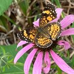 Carol H. Bussey - @carol.bussey - Instagram